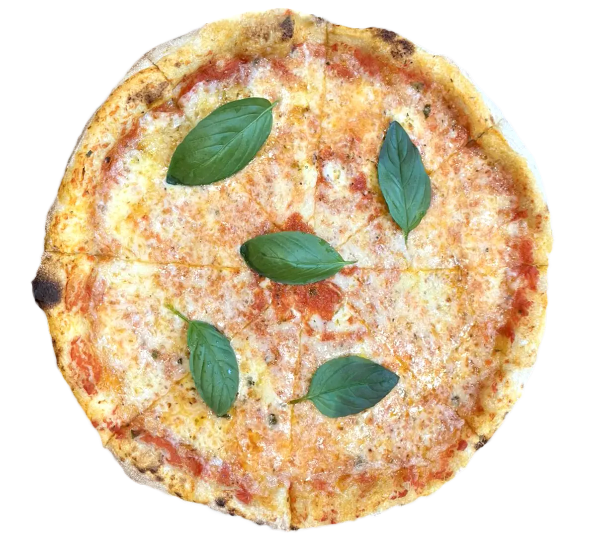 Pizza Margherita